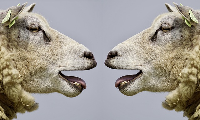 Efecto Dunning-Kruger